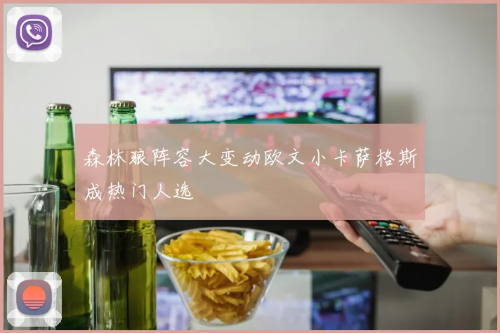 森林狼阵容大变动欧文小卡萨格斯成热门人选