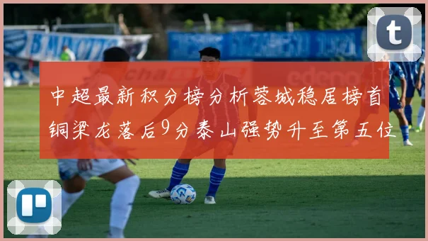 中超最新积分榜分析蓉城稳居榜首铜梁龙落后9分泰山强势升至第五位津门虎积分清零